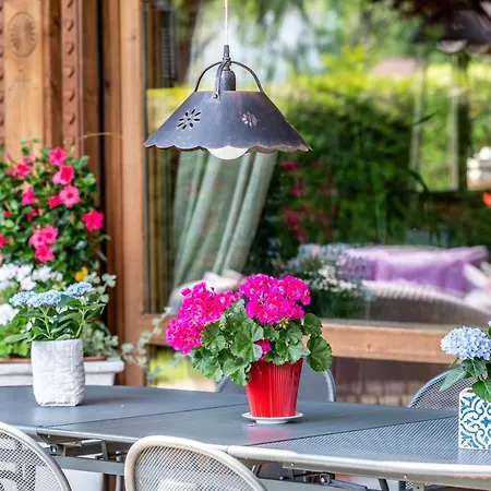 Chalet Le Chalay Les Carroz d'Araches